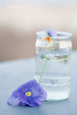 Photos of vases - vase of water and single stem.jpg